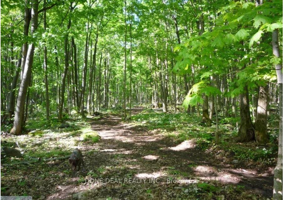 Photo 6 of 111 Nippissing Ridge Road, Tiny, Rural Tiny — HOMEH