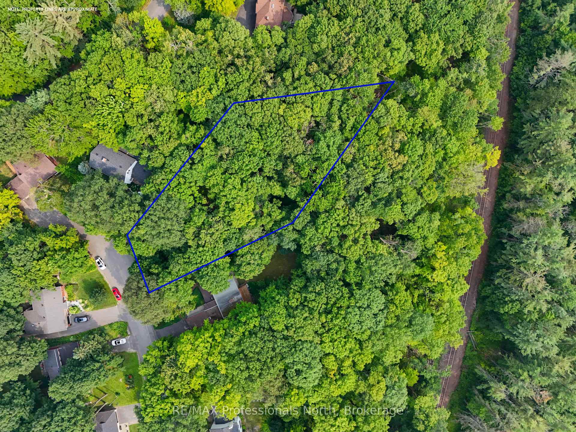Photo 4 of Woodland Drive, Bracebridge, Macaulay — HOMEH