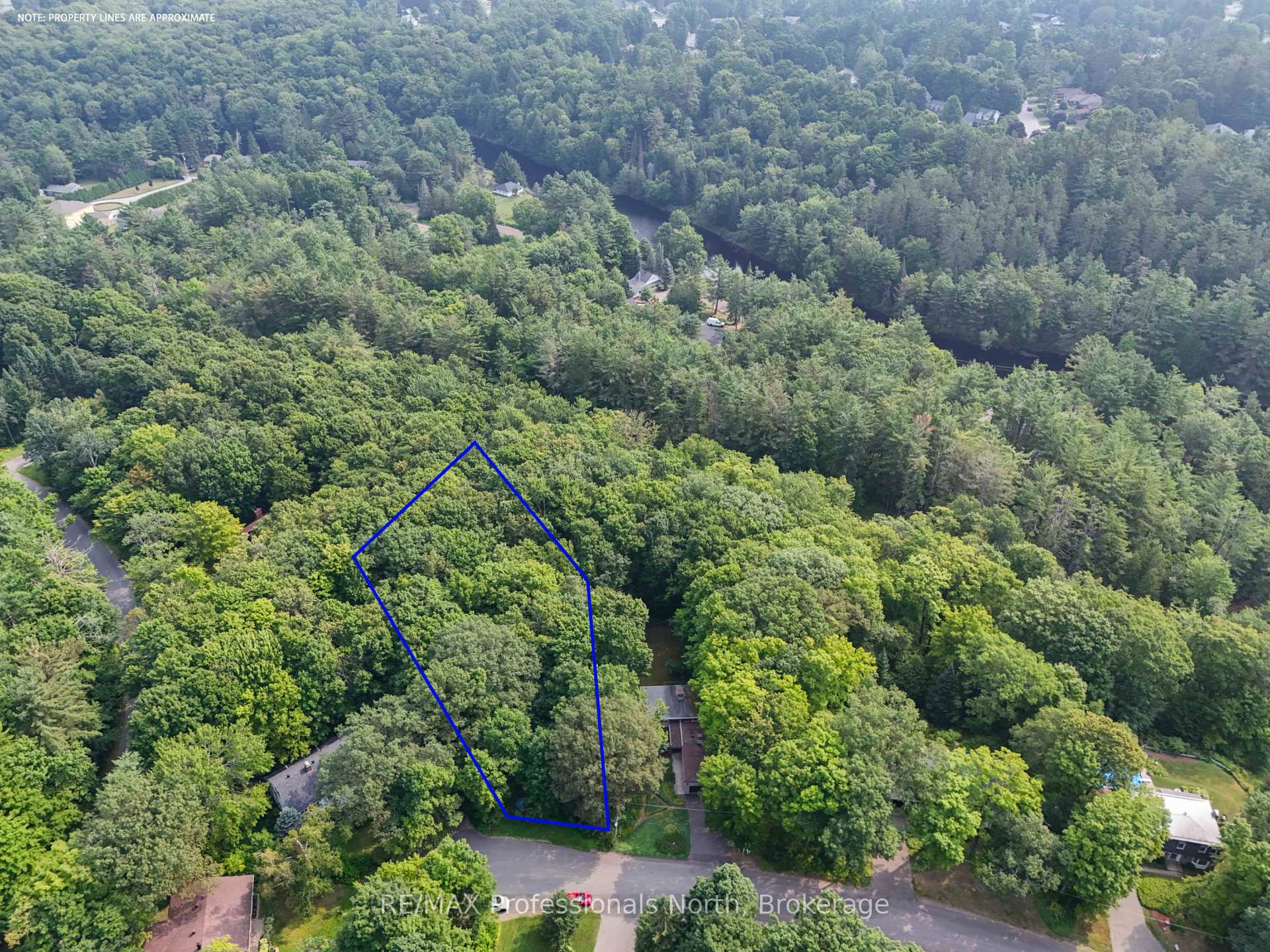 Photo 5 of Woodland Drive, Bracebridge, Macaulay — HOMEH