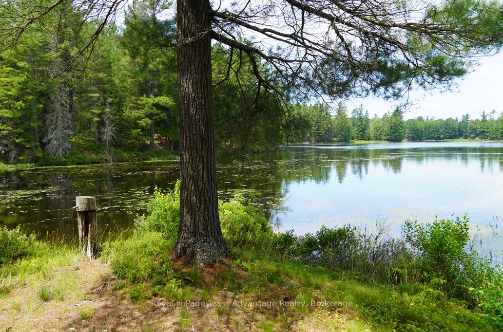 Photo 39 of AE 380 & Jdd 651 Bird Lake, Killarney — HOMEH
