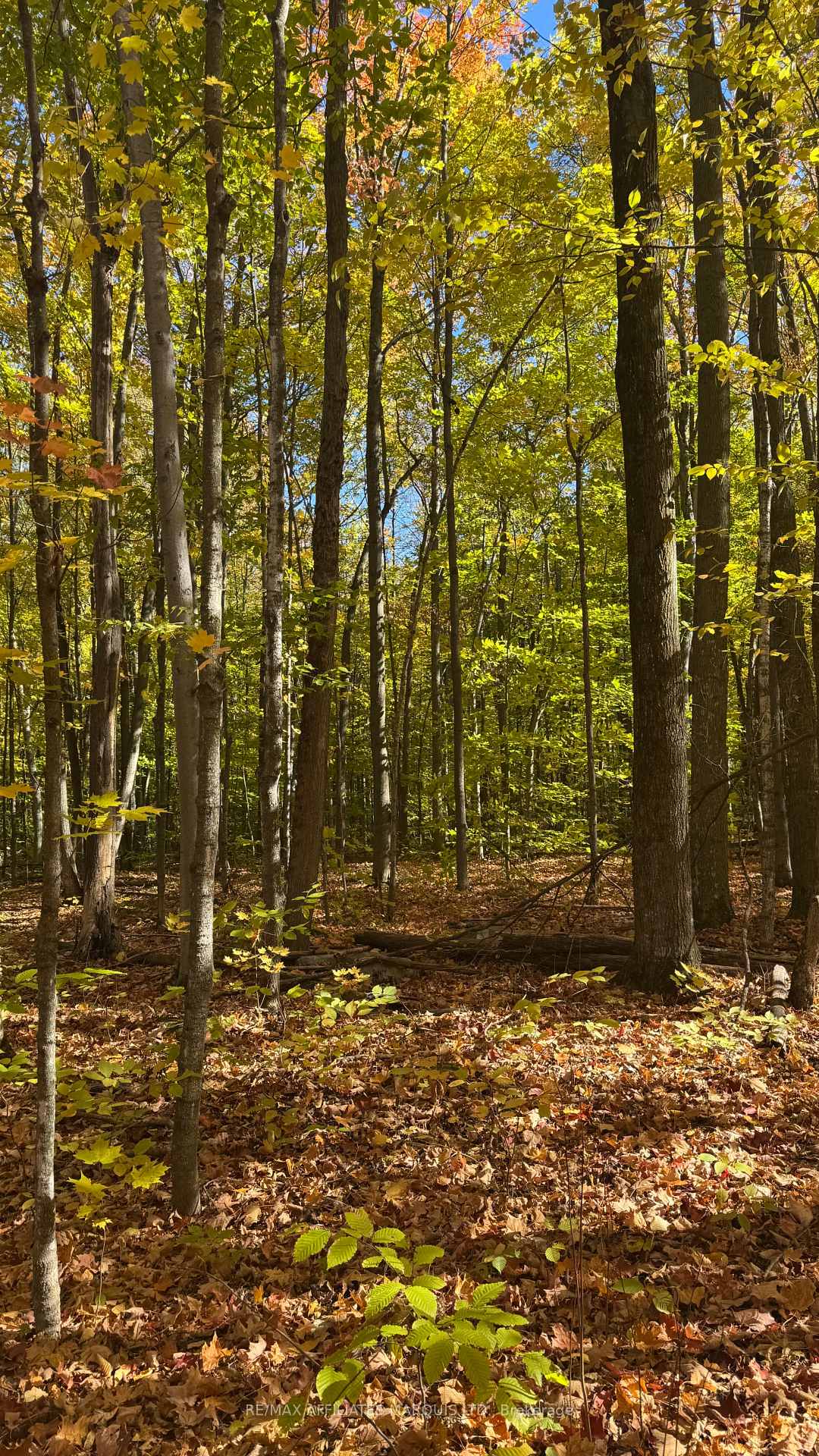 Photo 41 of 18723 County 18 Road, South Glengarry, South Glengarry (Charlottenburgh) Twp — HOMEH