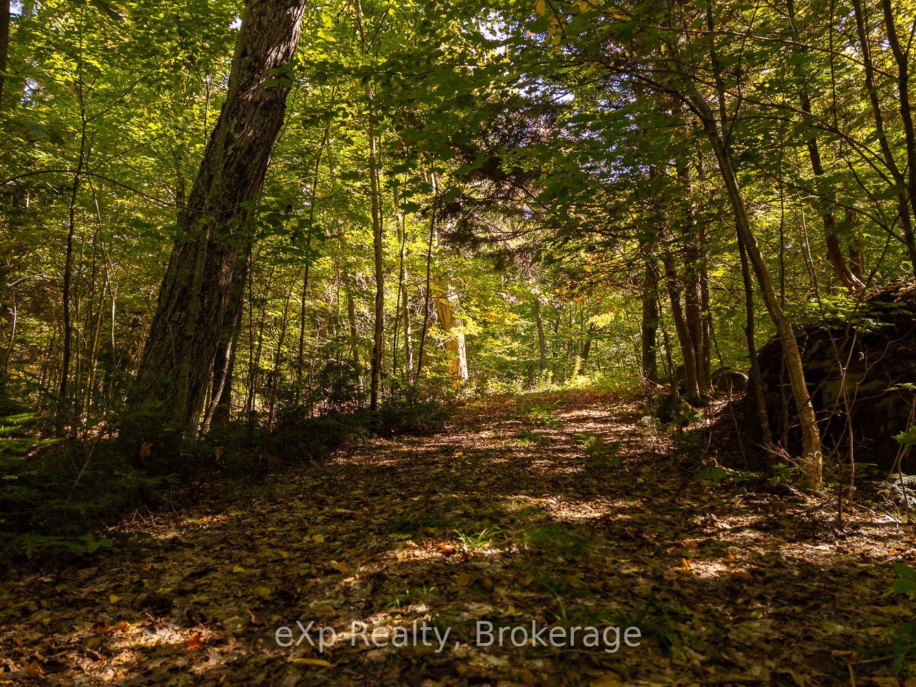 Photo 38 of 4 Fire Route 140 (Turtle Lane), McKellar — HOMEH