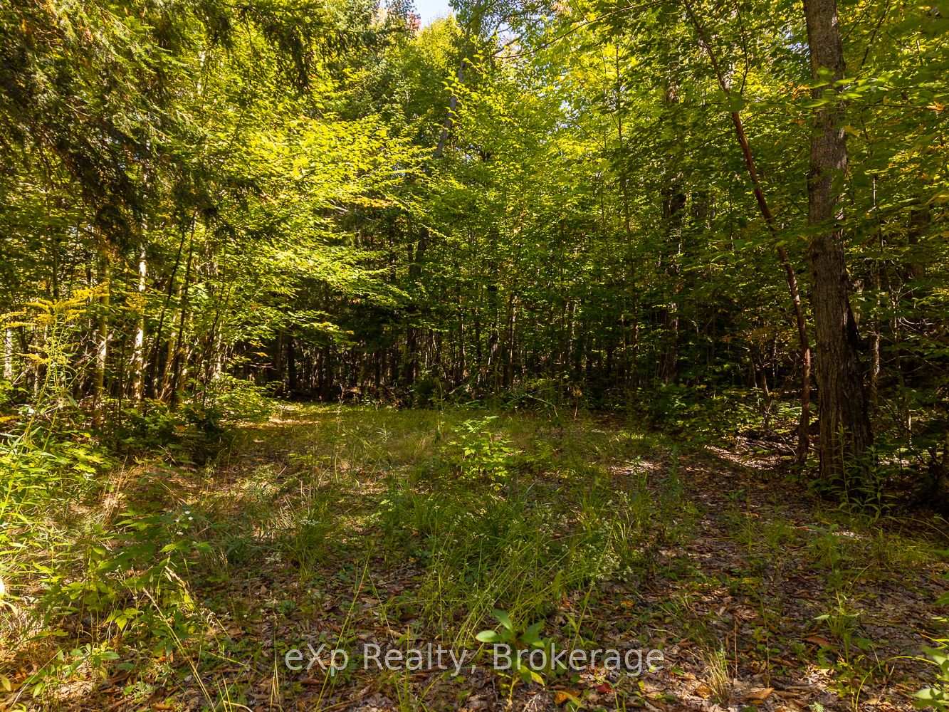Photo 51 of 4 Fire Route 140 (Turtle Lane), McKellar — HOMEH