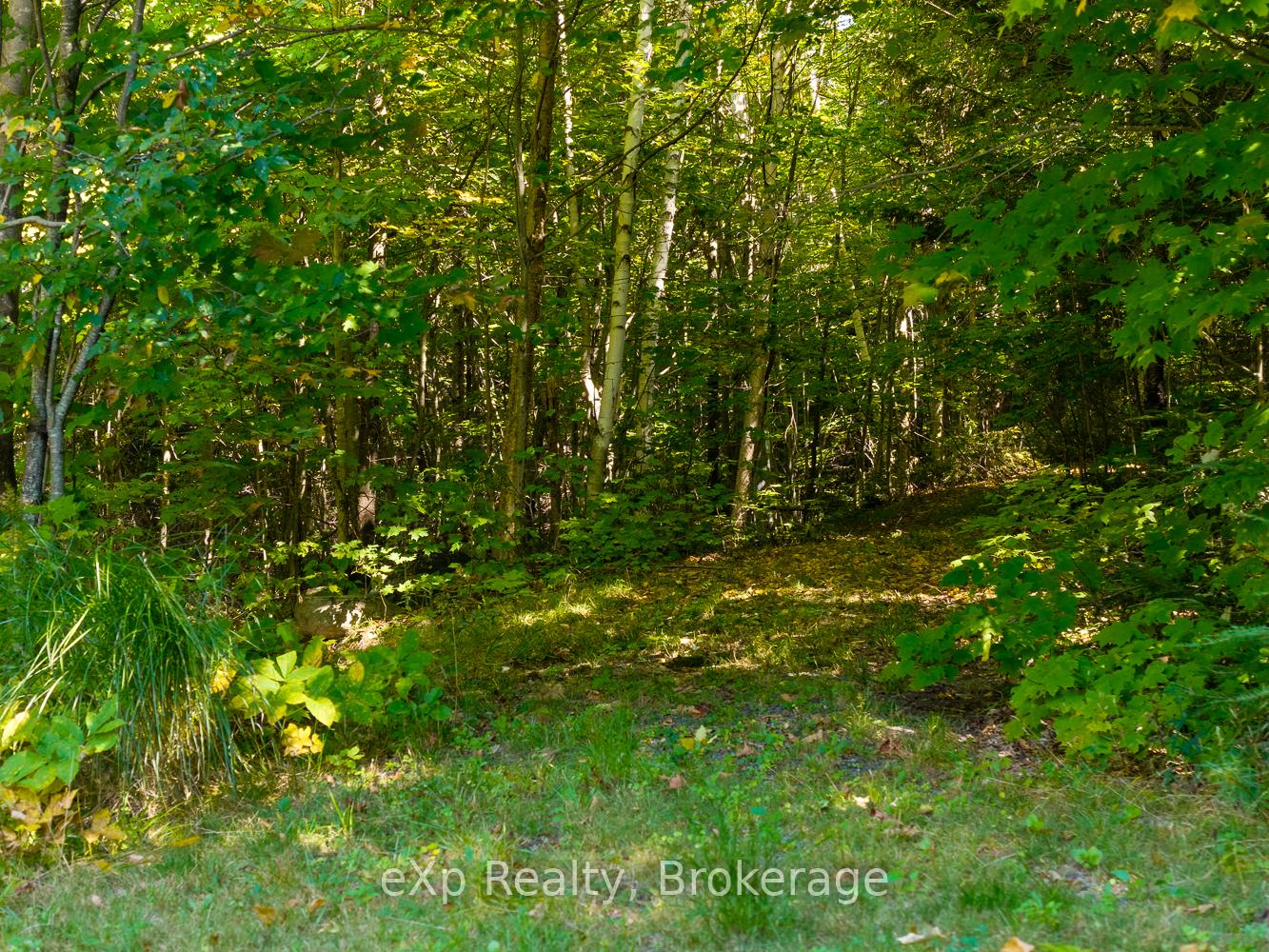 Photo 53 of 4 Fire Route 140 (Turtle Lane), McKellar — HOMEH