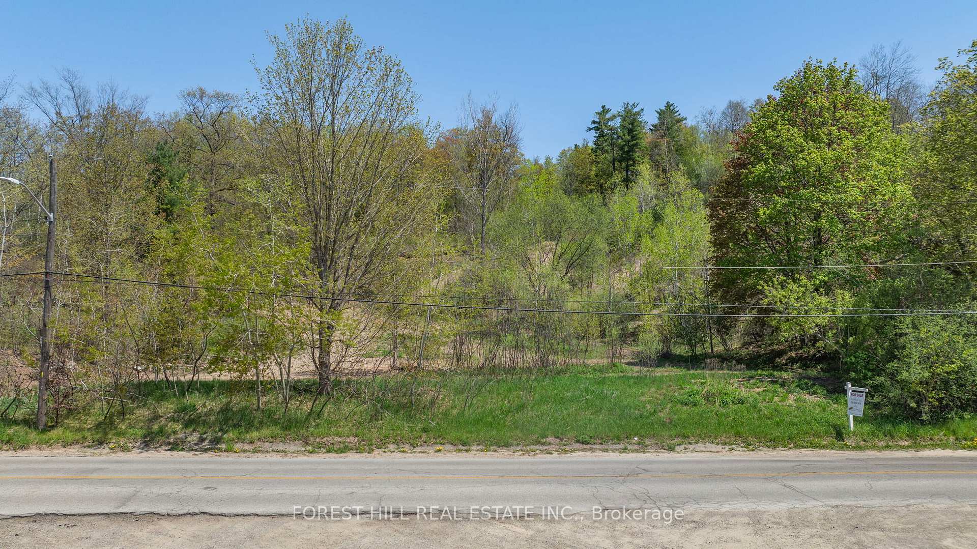 Photo 4 of 22 Main Street N, Halton Hills, Glen Williams — HOMEH