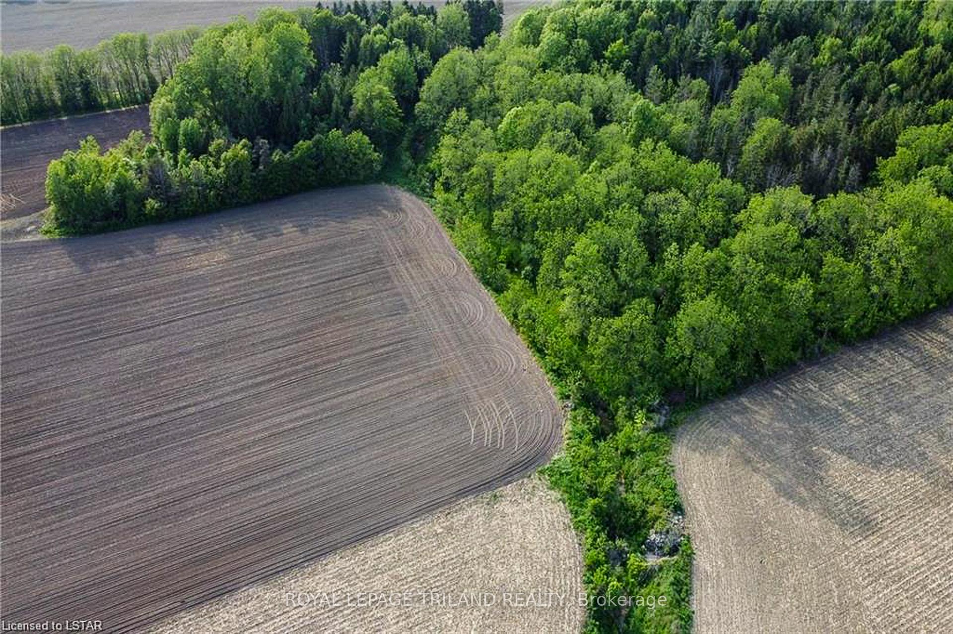 Photo 7 of 27796 Nairn Road, North Middlesex, Rural North Middlesex — HOMEH