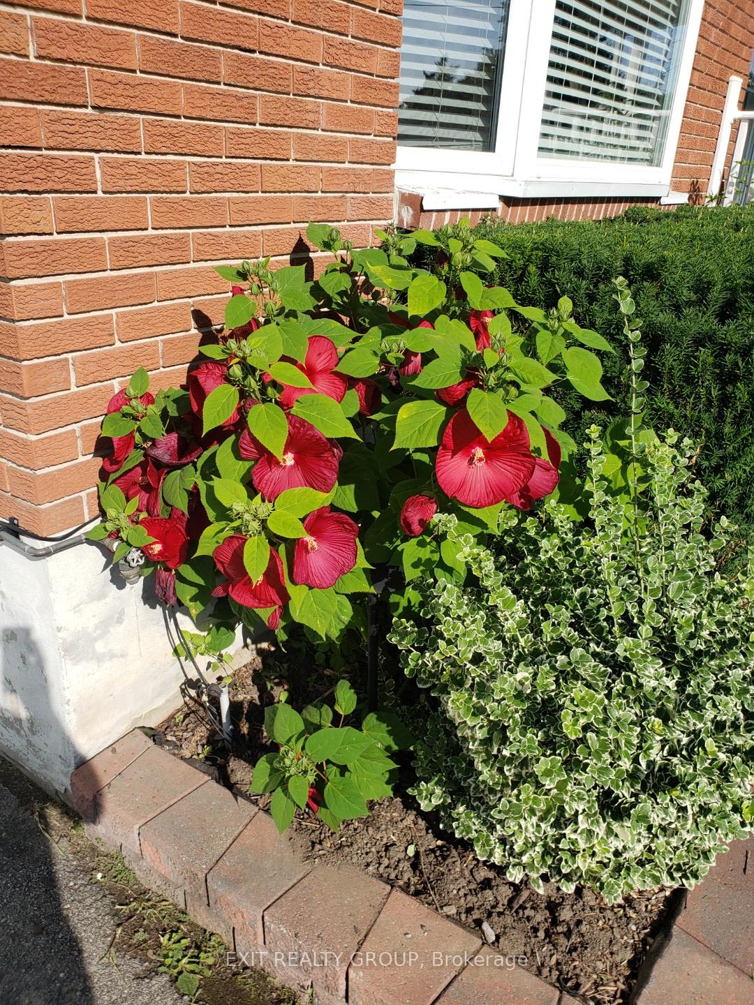 Photo 35 of 476 Sidney Street, Belleville, Belleville Ward — HOMEH