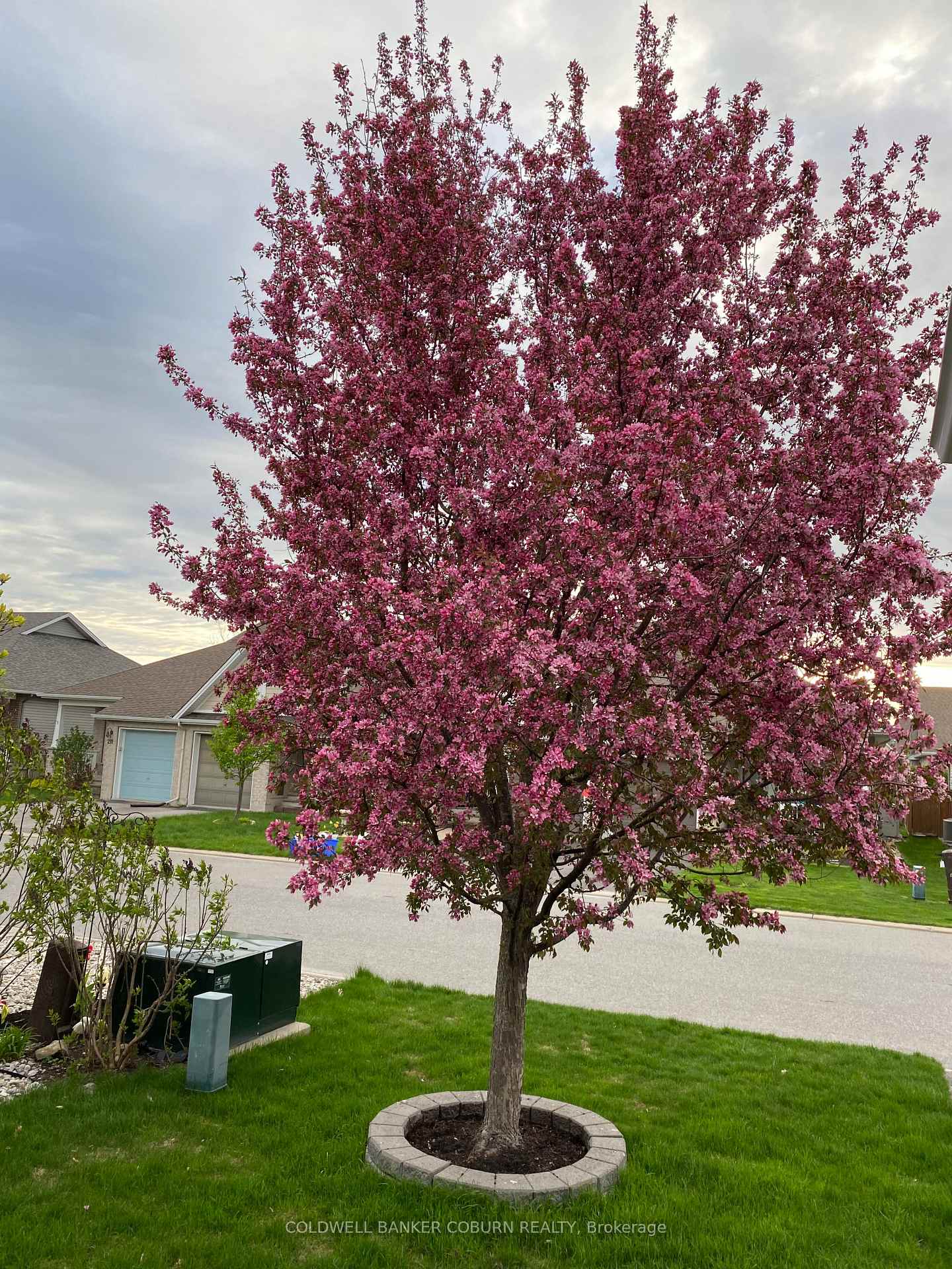 Photo 36 of 206 Bulrush Crescent, Ottawa, Blossom Park/Kemp Park/Findlay Creek — HOMEH