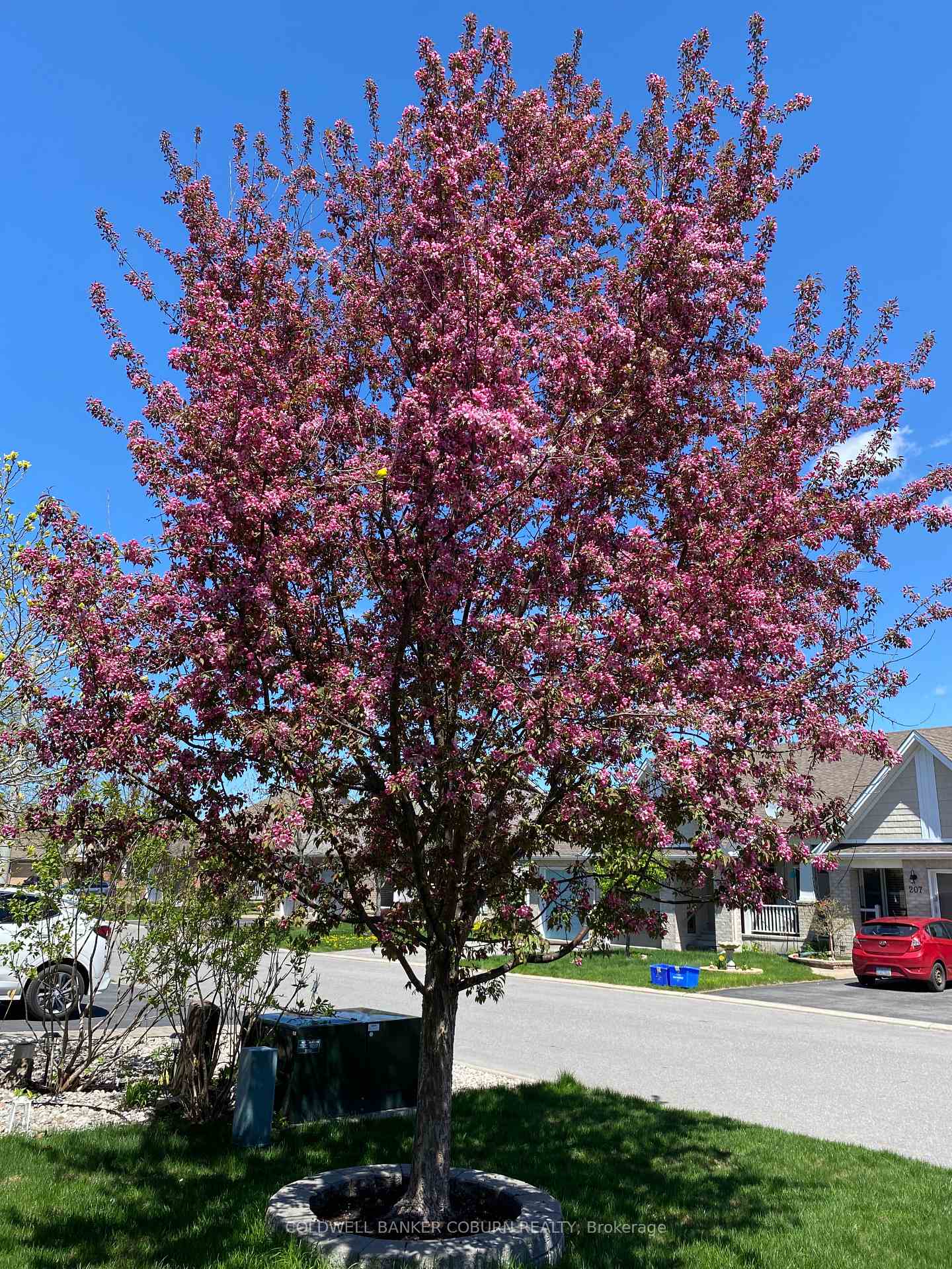 Photo 37 of 206 Bulrush Crescent, Ottawa, Blossom Park/Kemp Park/Findlay Creek — HOMEH
