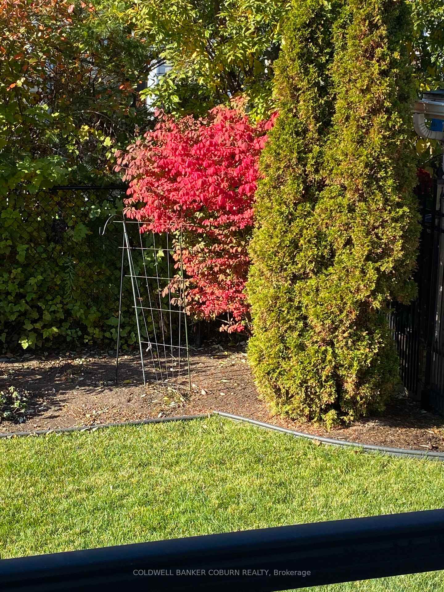Photo 39 of 206 Bulrush Crescent, Ottawa, Blossom Park/Kemp Park/Findlay Creek — HOMEH