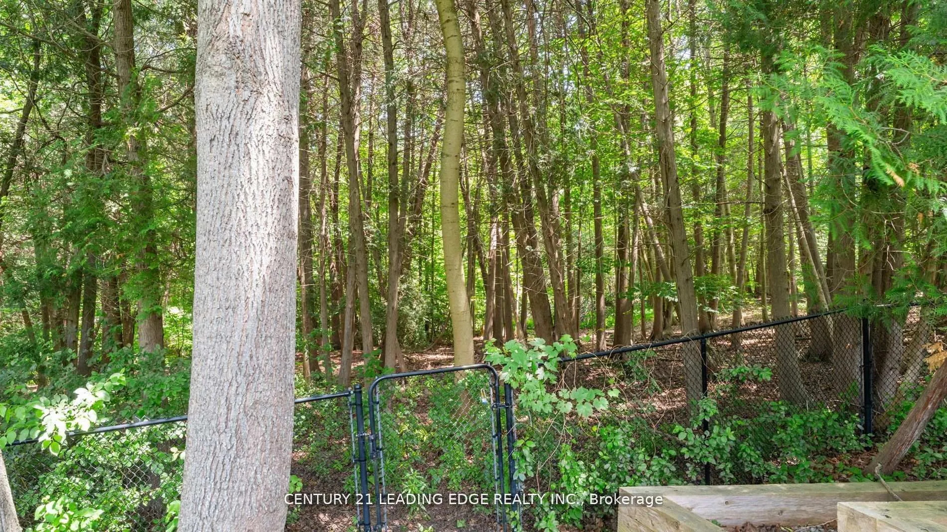 Photo 95 of 3295 Tooley Road, Clarington, Courtice — HOMEH