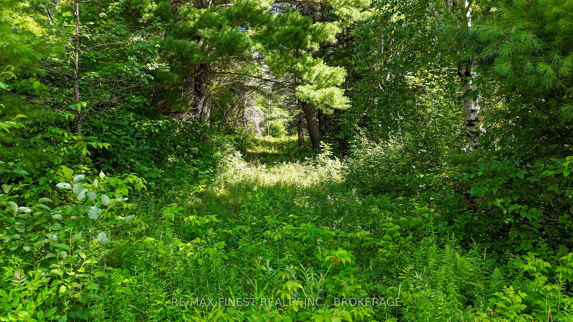 Photo 5 of LOT 14 -15 0 Thunder Lane, Frontenac, Frontenac Centre — HOMEH