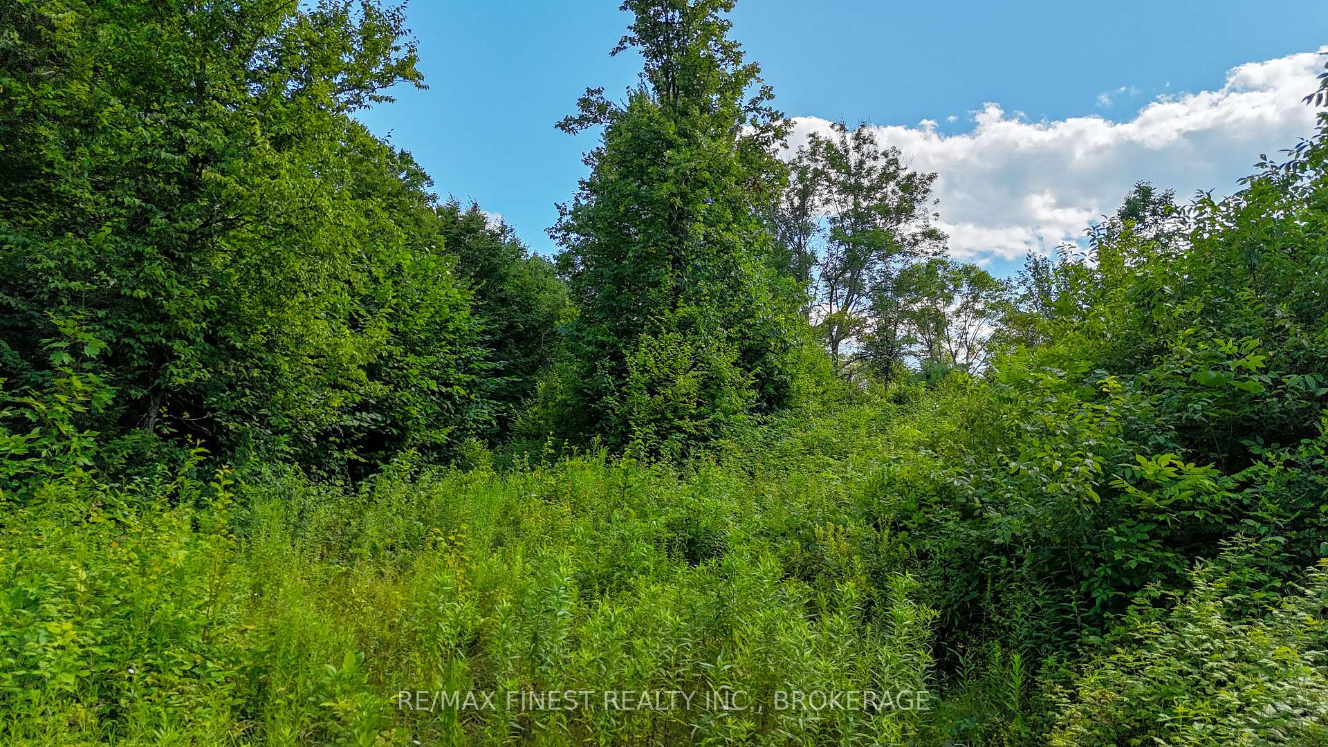 Photo 6 of LOT 14 -15 0 Thunder Lane, Frontenac, Frontenac Centre — HOMEH