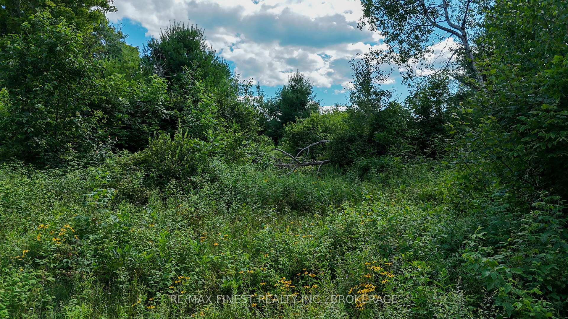Photo 9 of LOT 14 -15 0 Thunder Lane, Frontenac, Frontenac Centre — HOMEH