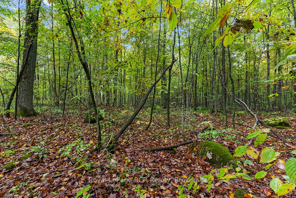 Photo 45 of 545618 Sideroad 4A Side Road, Grey Highlands — HOMEH