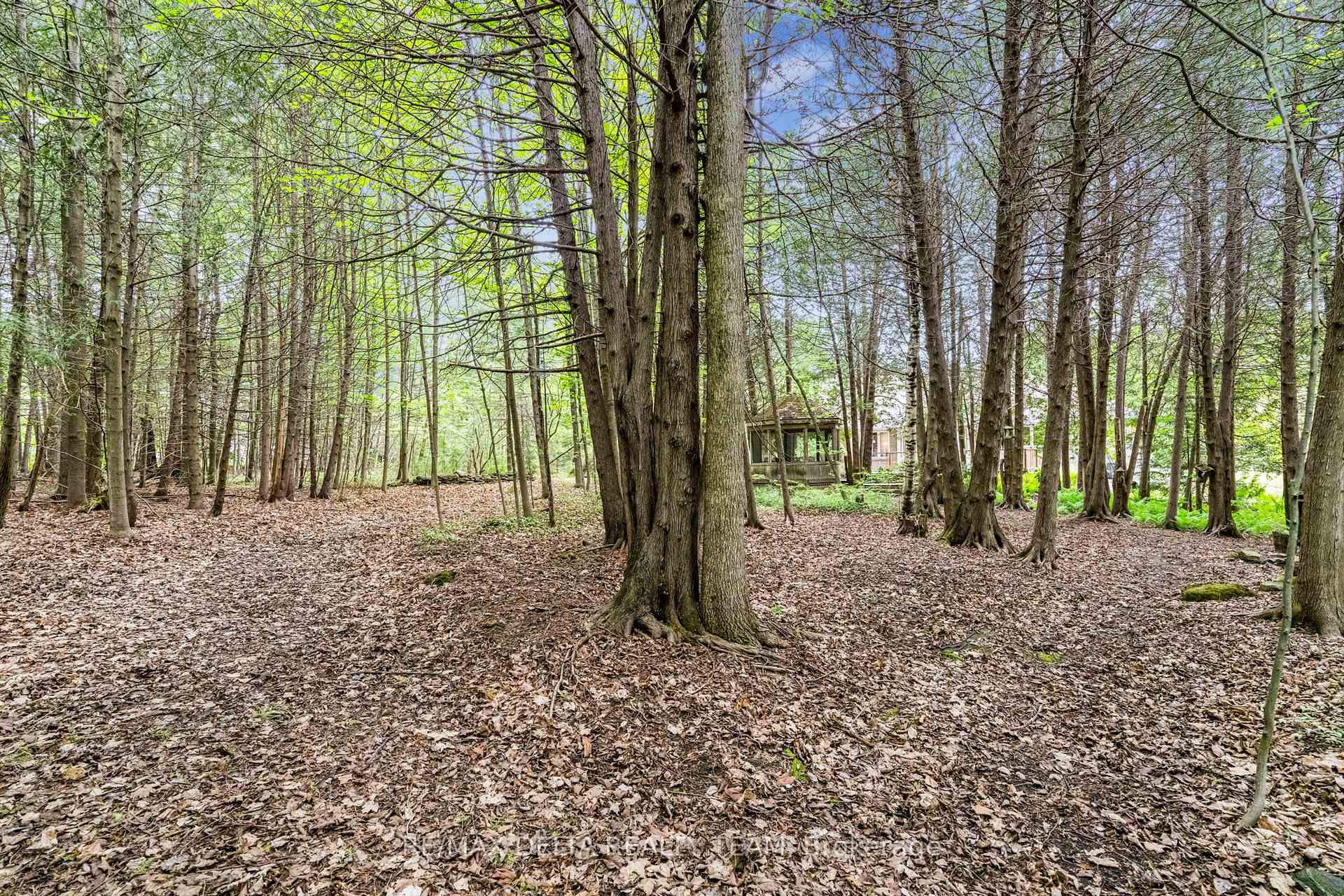 Photo 32 of 6316 Elkwood Drive, Ottawa, Greely — HOMEH