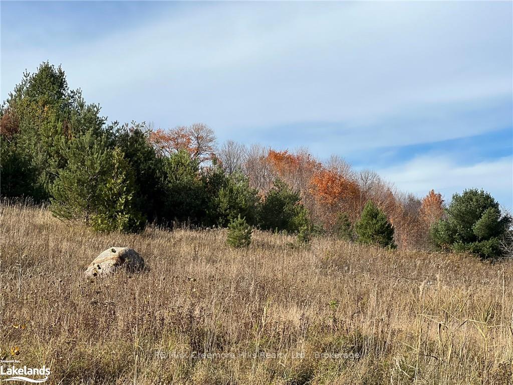 Photo 6 of Concession 5 Sunnidale, Clearview, Rural Clearview — HOMEH