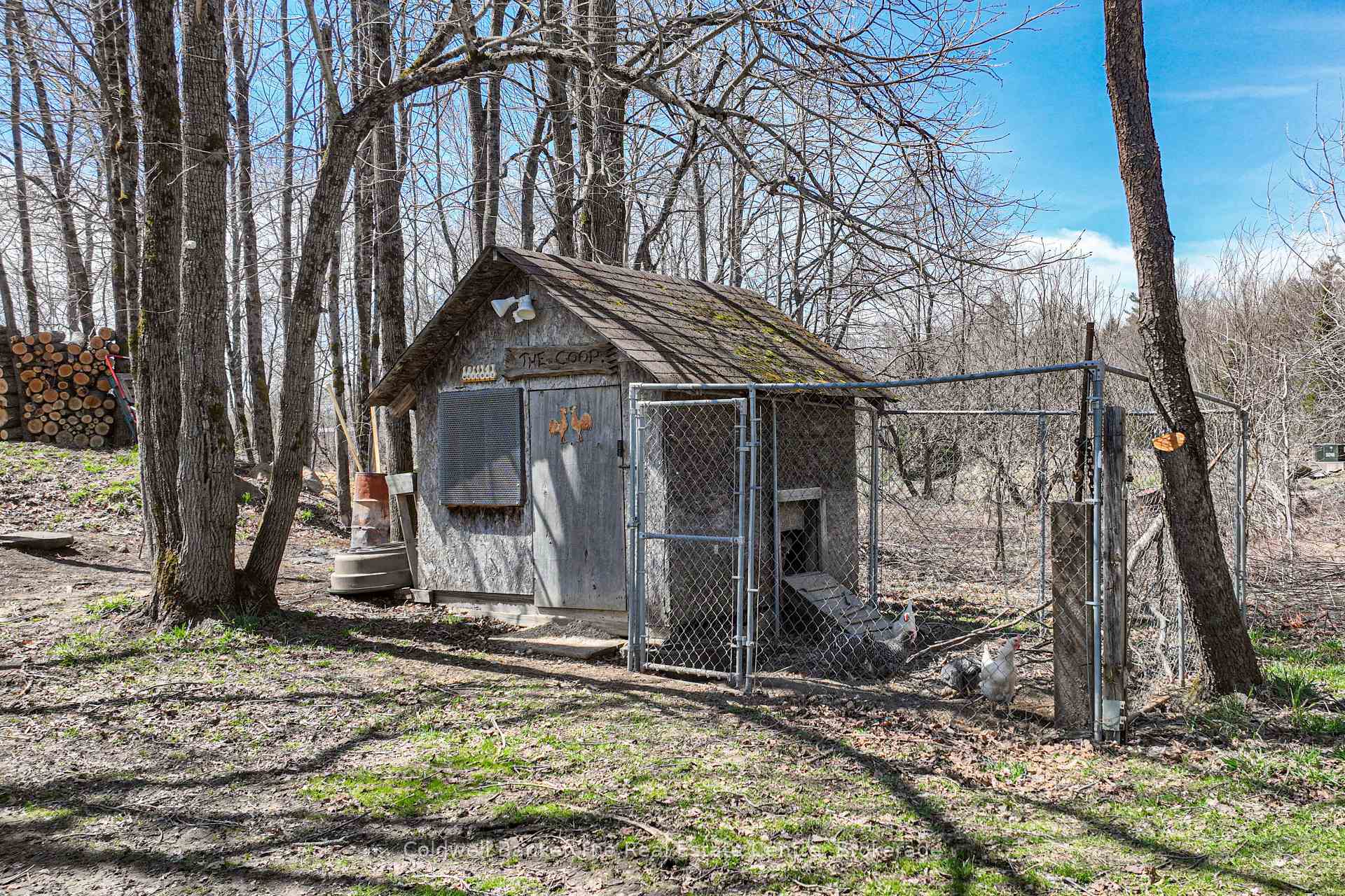 Photo 42 of 1777 Doe Lake Road, Gravenhurst — HOMEH