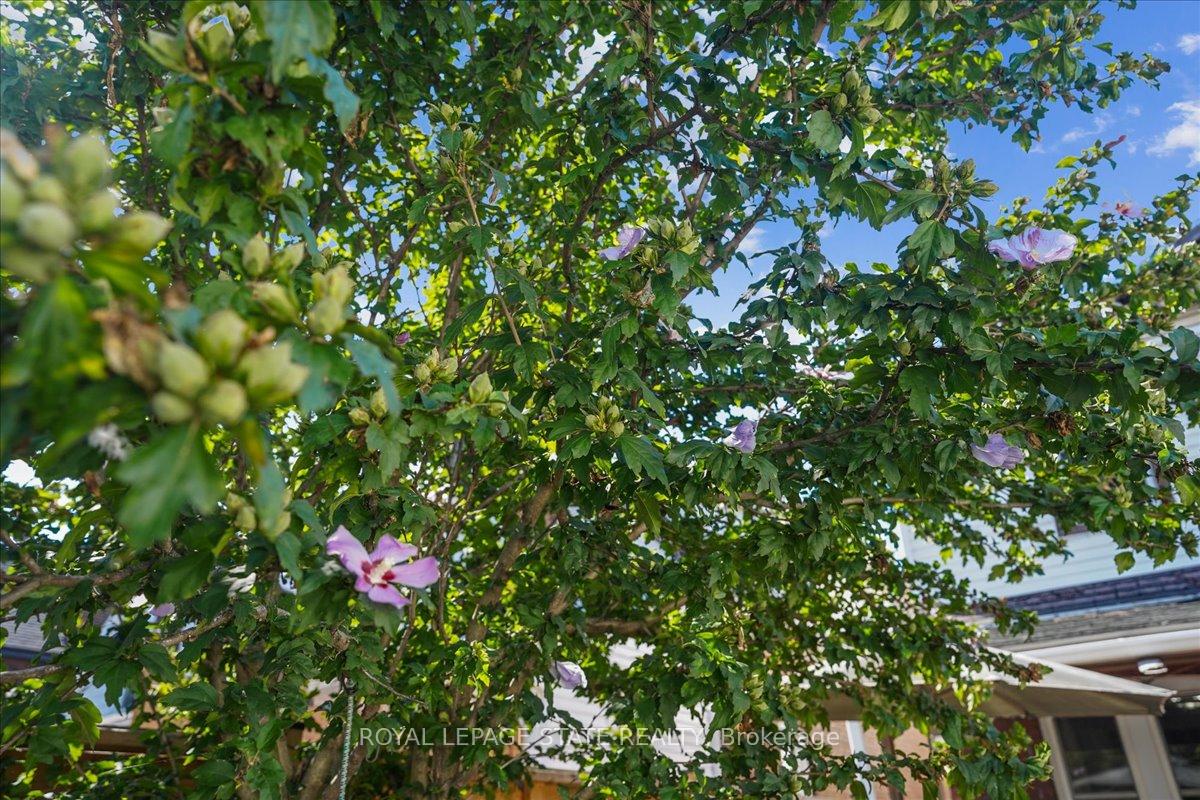 Photo 35 of 150 Prospect Street N, Hamilton, Gibson — HOMEH