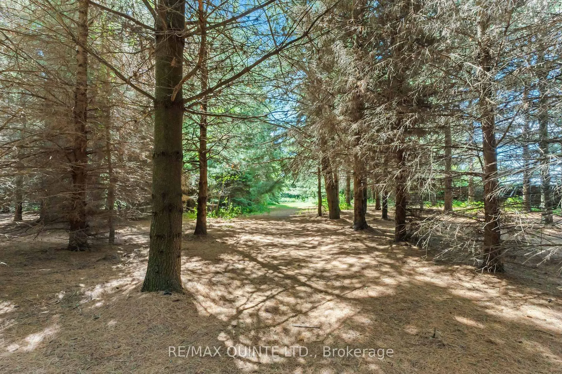 Photo 34 of 839 County 64 Road, Brighton, Rural Brighton — HOMEH