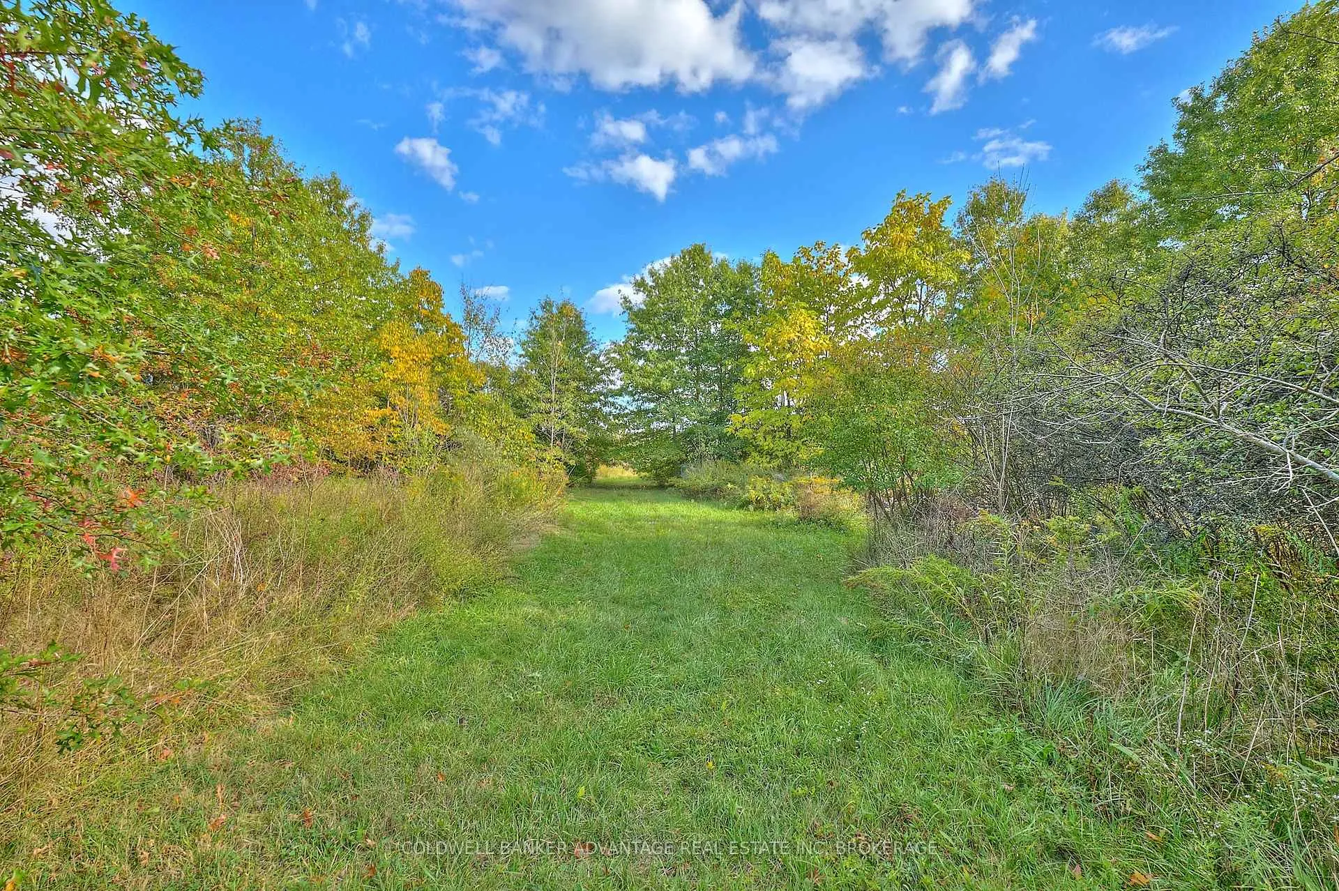 Photo 19 of 925 Carl Road, Welland, Cooks Mills — HOMEH