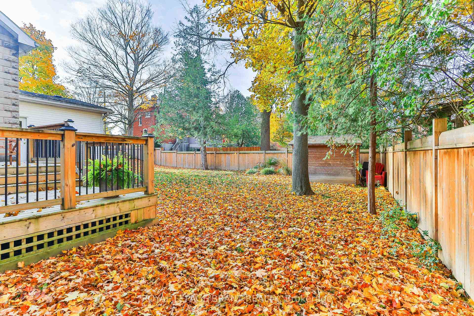 Photo 33 of 33 Baird Street, Brant, Paris — HOMEH