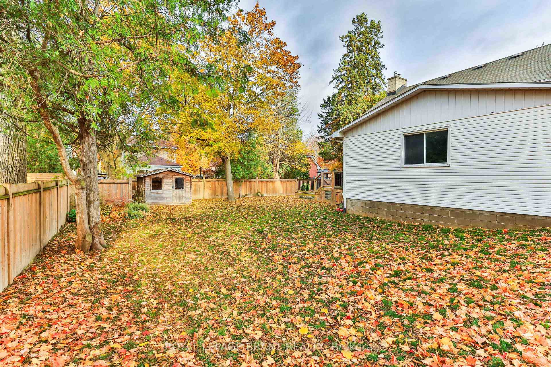Photo 38 of 33 Baird Street, Brant, Paris — HOMEH