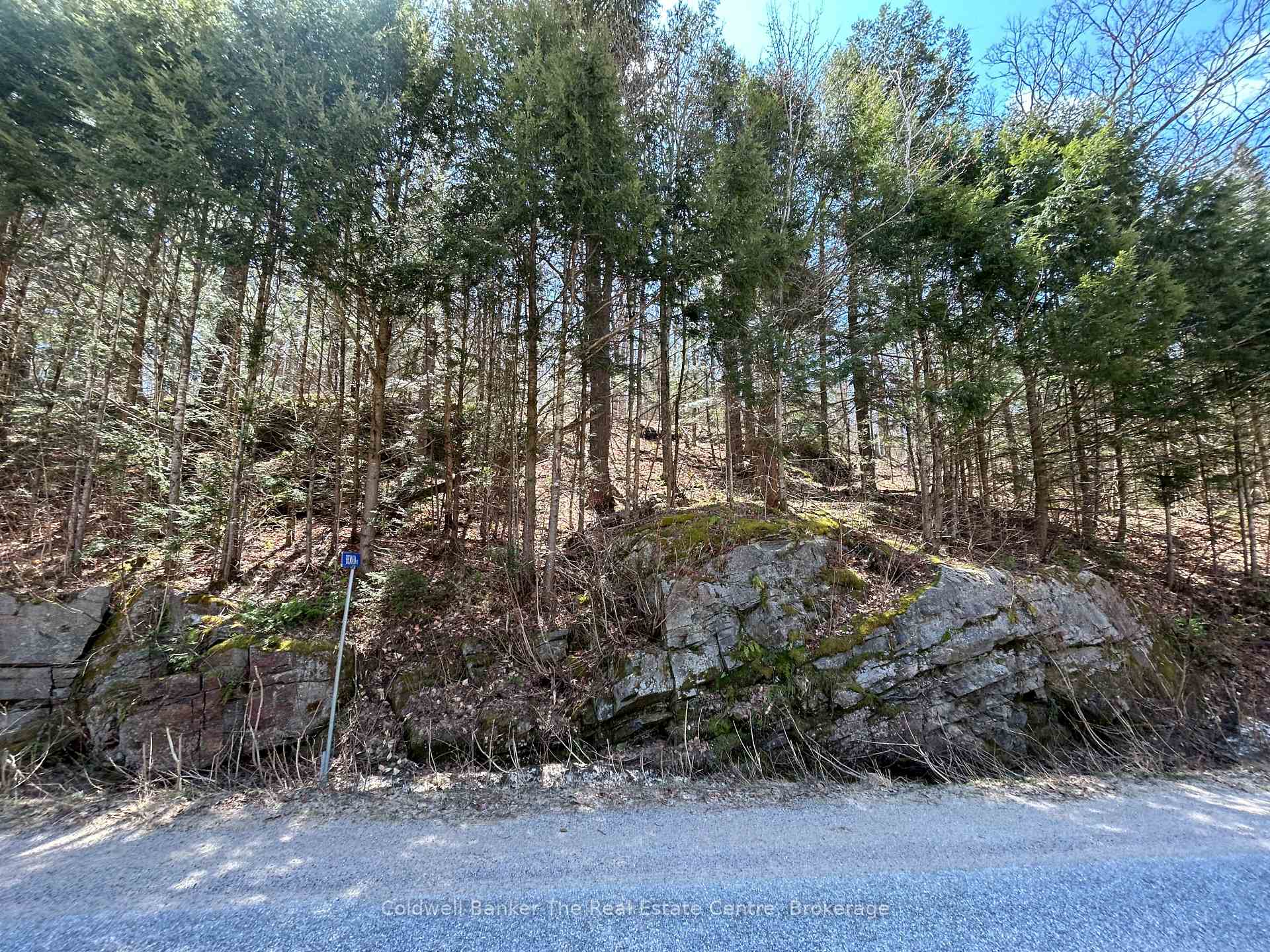 Photo 1 of 3560 Kawagama Lake Road, Algonquin Highlands, Sherborne — HOMEH
