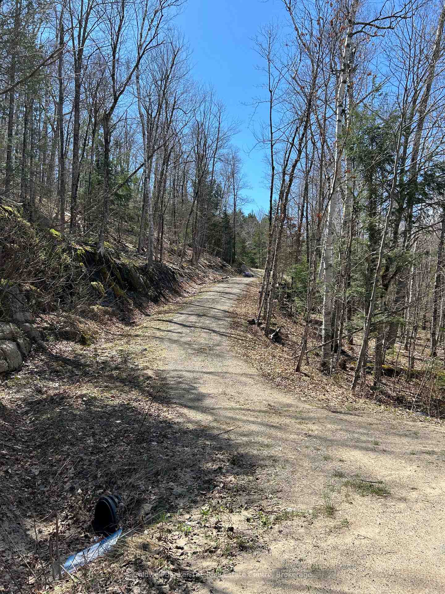 Photo 5 of 3560 Kawagama Lake Road, Algonquin Highlands, Sherborne — HOMEH