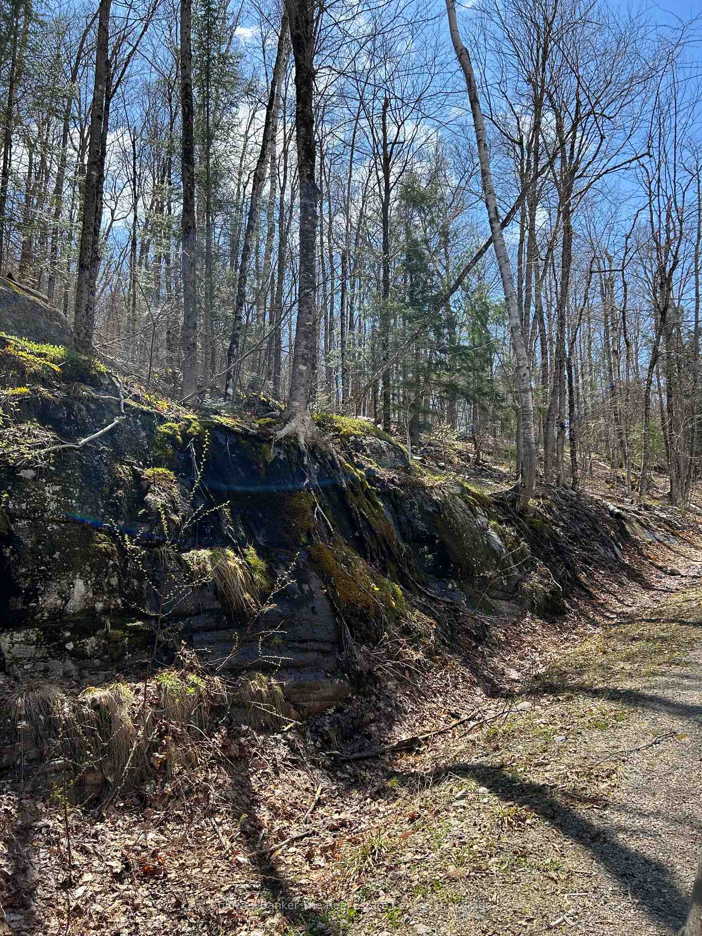 Photo 6 of 3560 Kawagama Lake Road, Algonquin Highlands, Sherborne — HOMEH