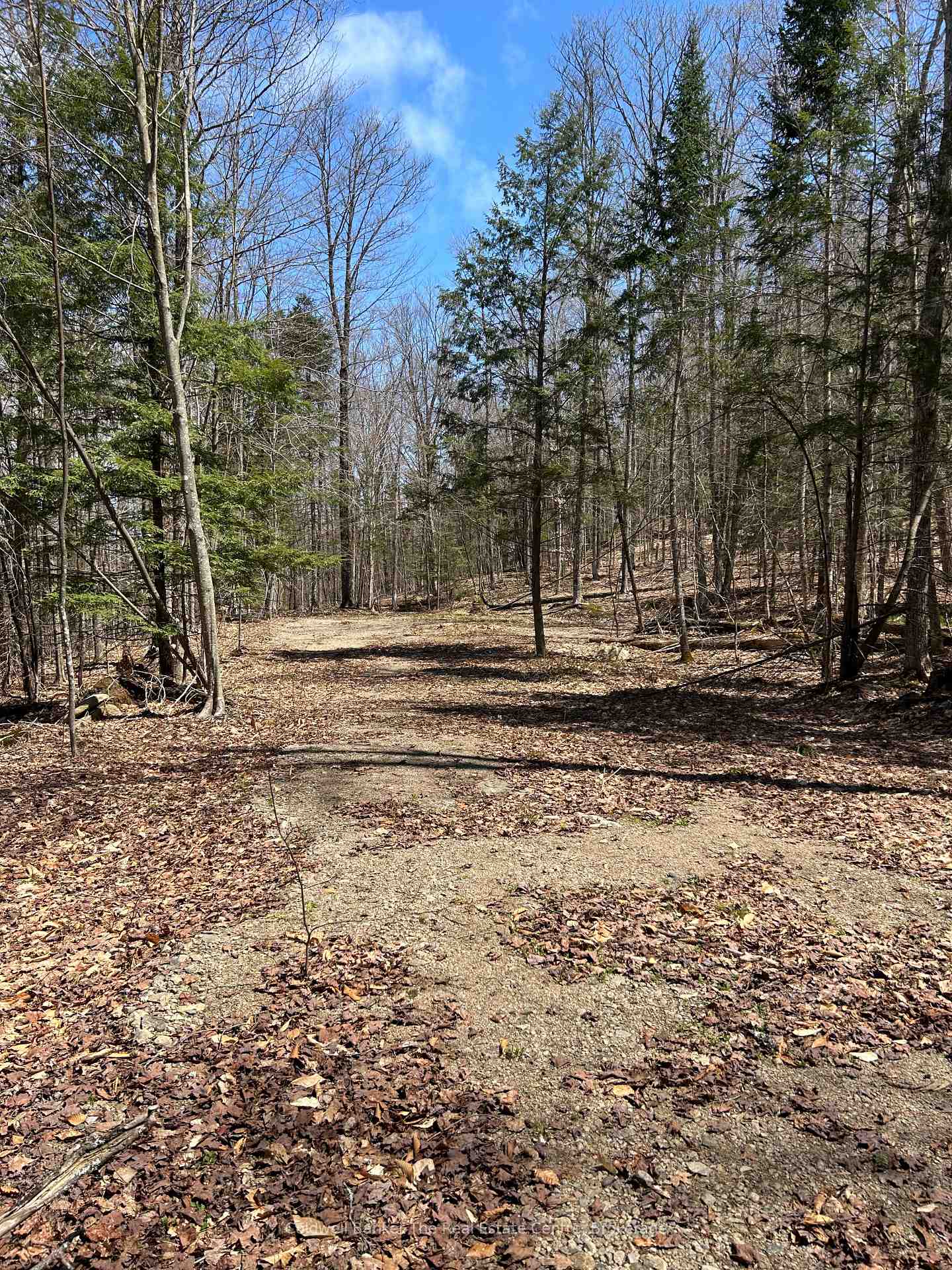 Photo 7 of 3560 Kawagama Lake Road, Algonquin Highlands, Sherborne — HOMEH