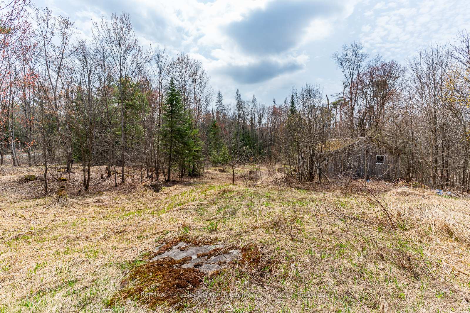 Photo 4 of 1899 Bobcaygeon Road, Minden Hills, Anson — HOMEH