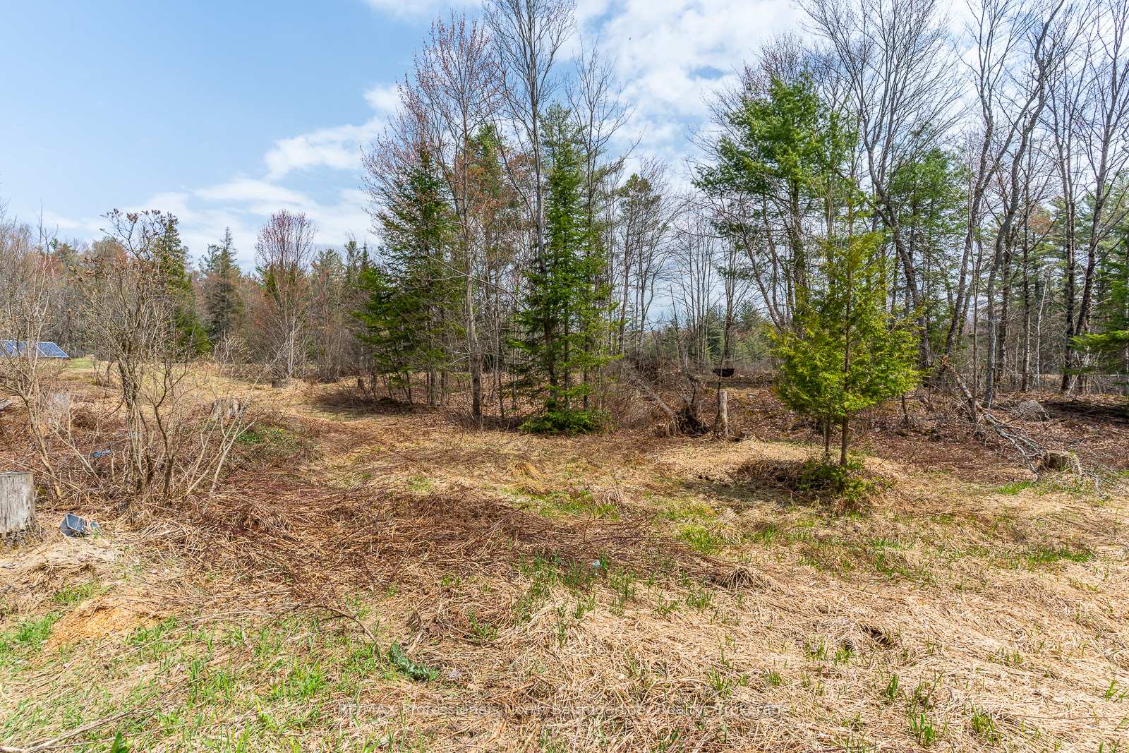 Photo 7 of 1899 Bobcaygeon Road, Minden Hills, Anson — HOMEH