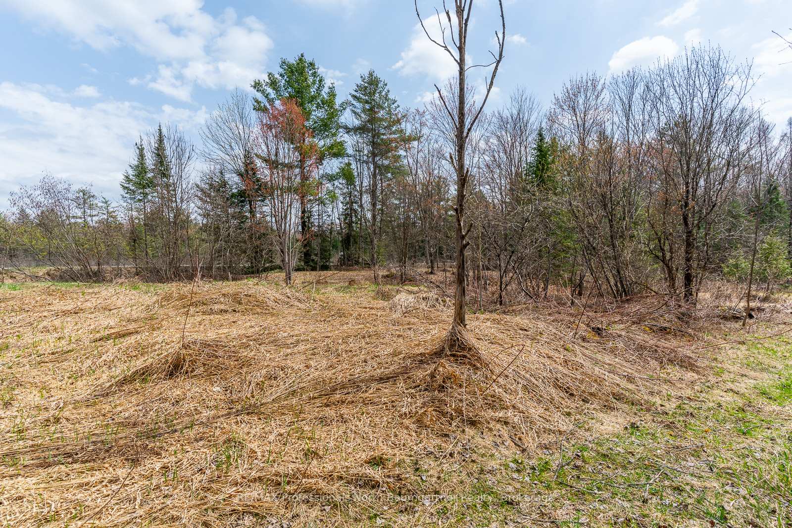 Photo 8 of 1899 Bobcaygeon Road, Minden Hills, Anson — HOMEH