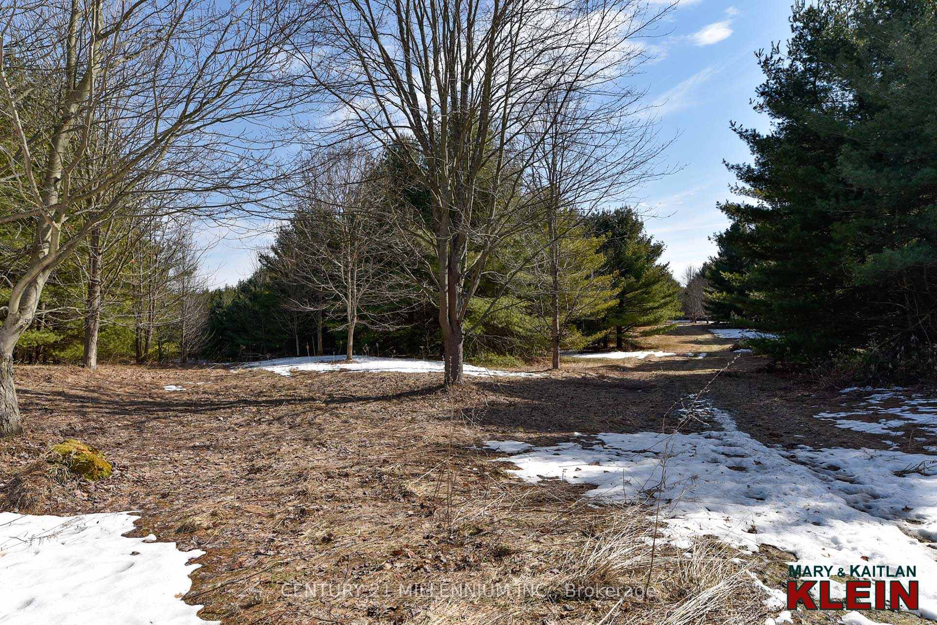 Photo 6 of 753334 2nd Line EHS, Mono, Rural Mono — HOMEH