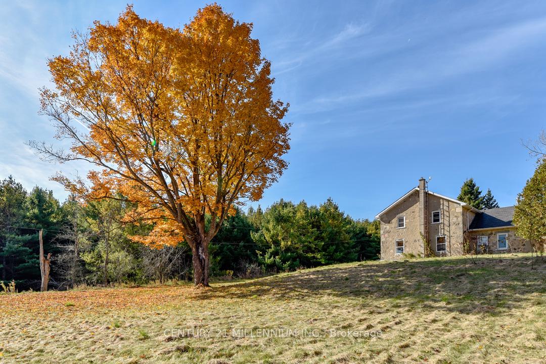 Photo 12 of 753334 2nd Line EHS, Mono, Rural Mono — HOMEH