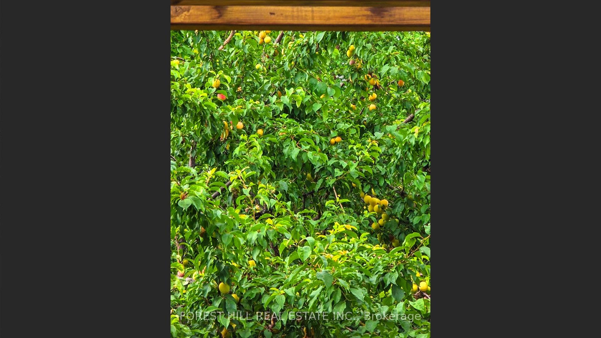 Photo 46 of 112 Crestwood Road, Vaughan, Crestwood-Springfarm-Yorkhill — HOMEH