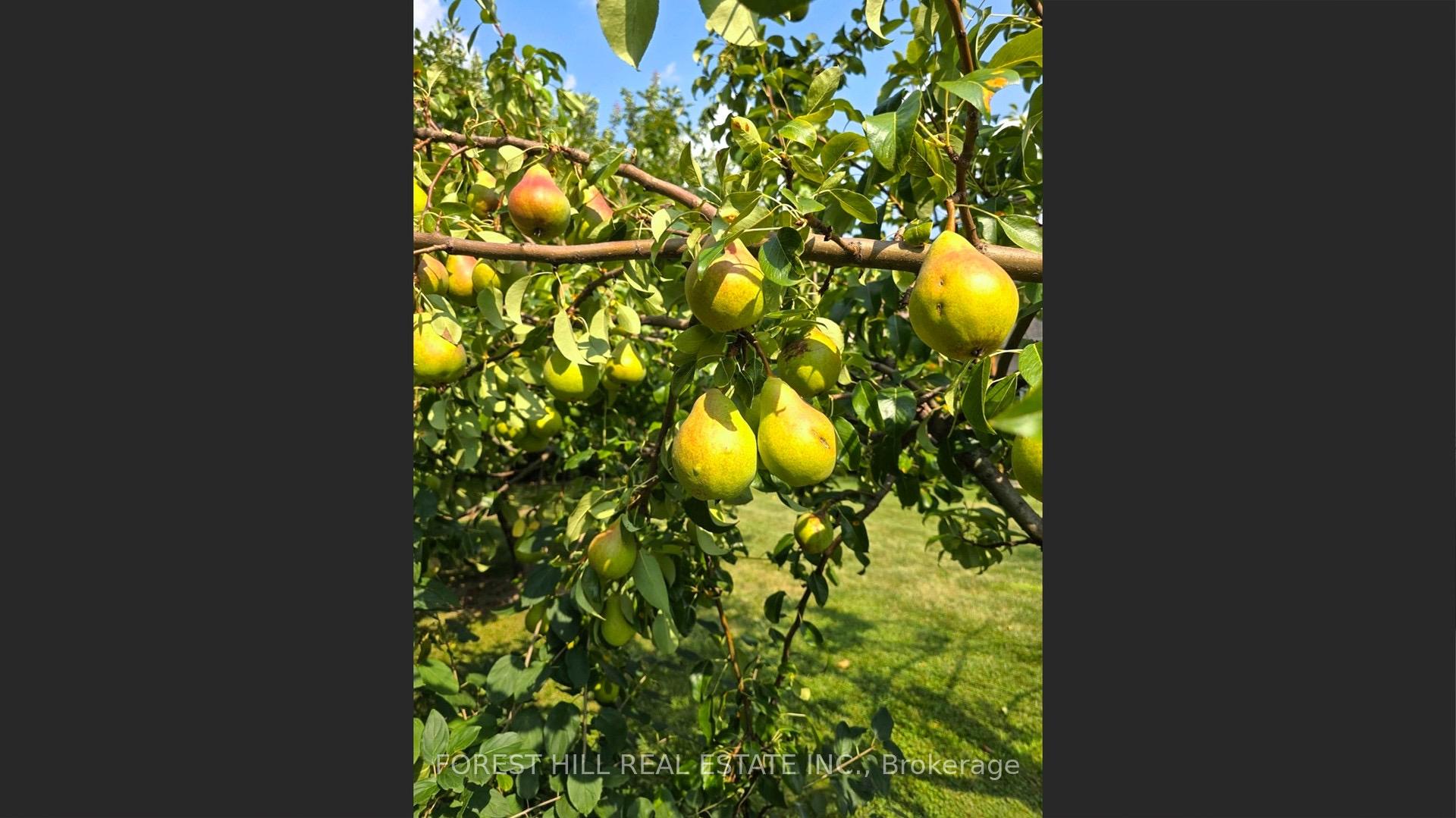 Photo 47 of 112 Crestwood Road, Vaughan, Crestwood-Springfarm-Yorkhill — HOMEH