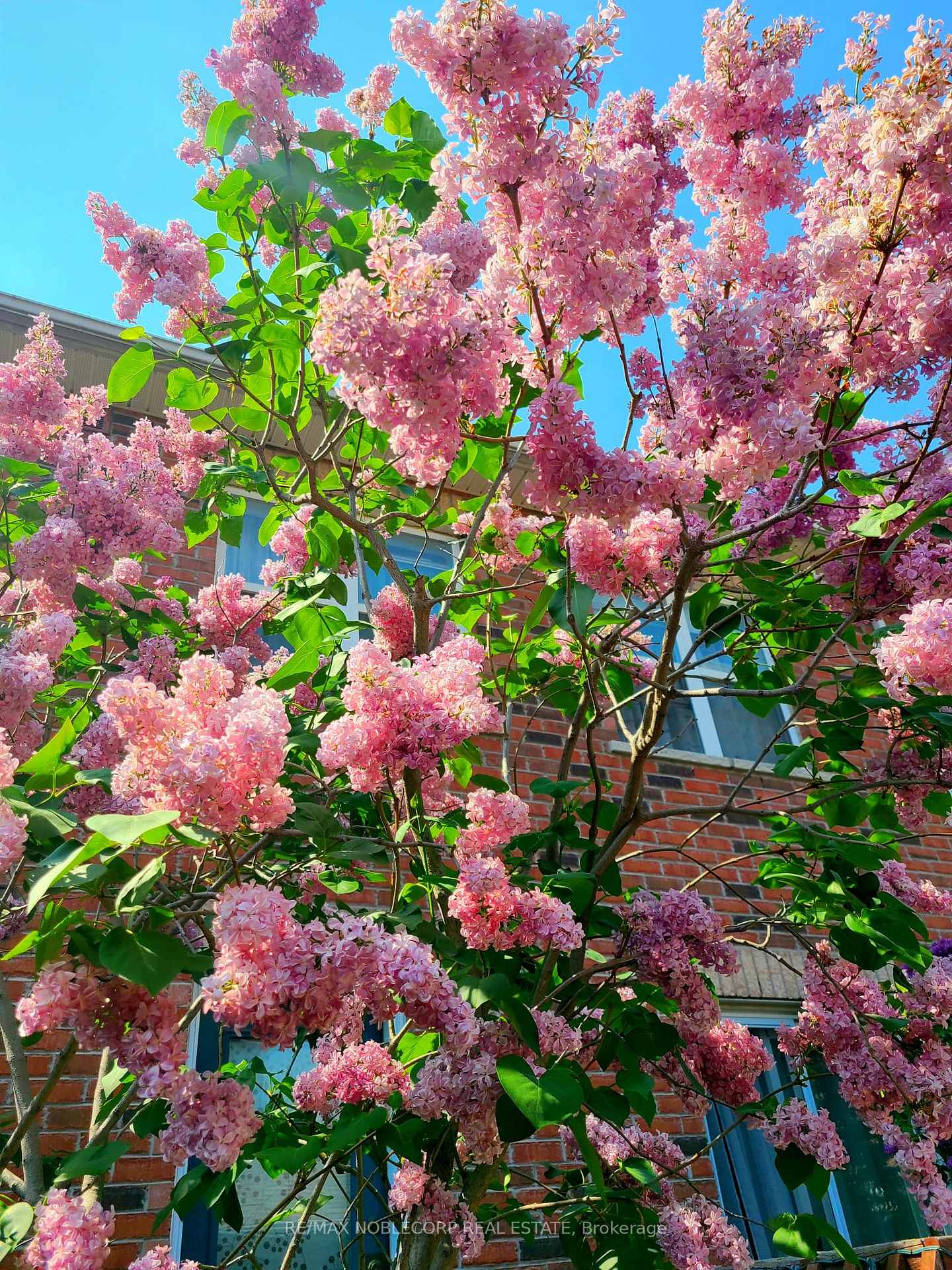 Photo 70 of D-17 Overlea Boulevard, Toronto, Thorncliffe Park — HOMEH