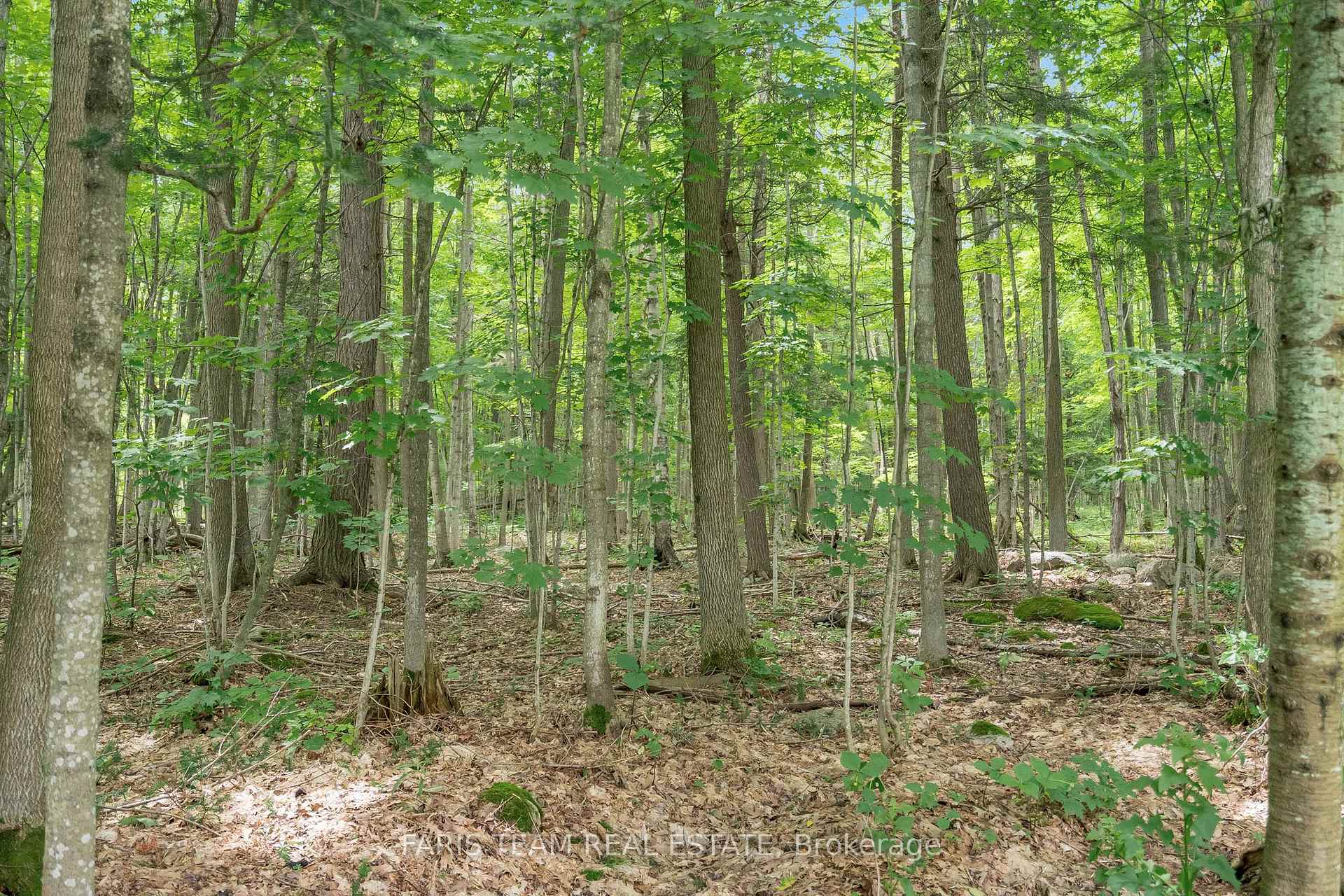 Photo 20 of 2420 Champlain Road, Tiny, Rural Tiny — HOMEH