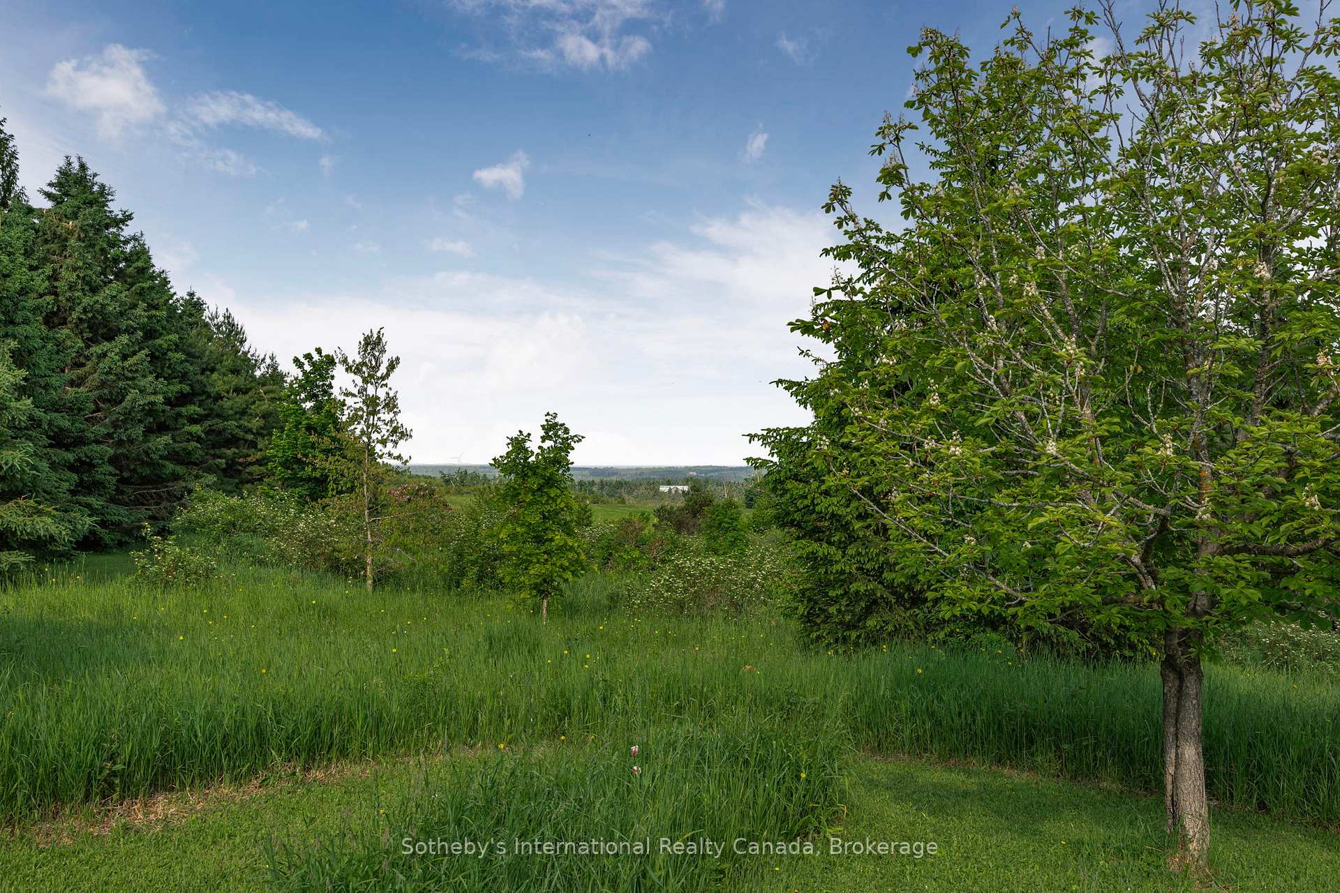 Photo 46 of 758693 2nd Line E, Mulmur, Rural Mulmur — HOMEH