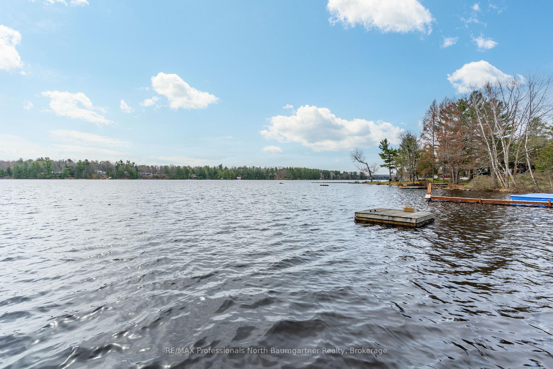 Photo 81 of 1175 Twin Rocks Lane, Algonquin Highlands — HOMEH