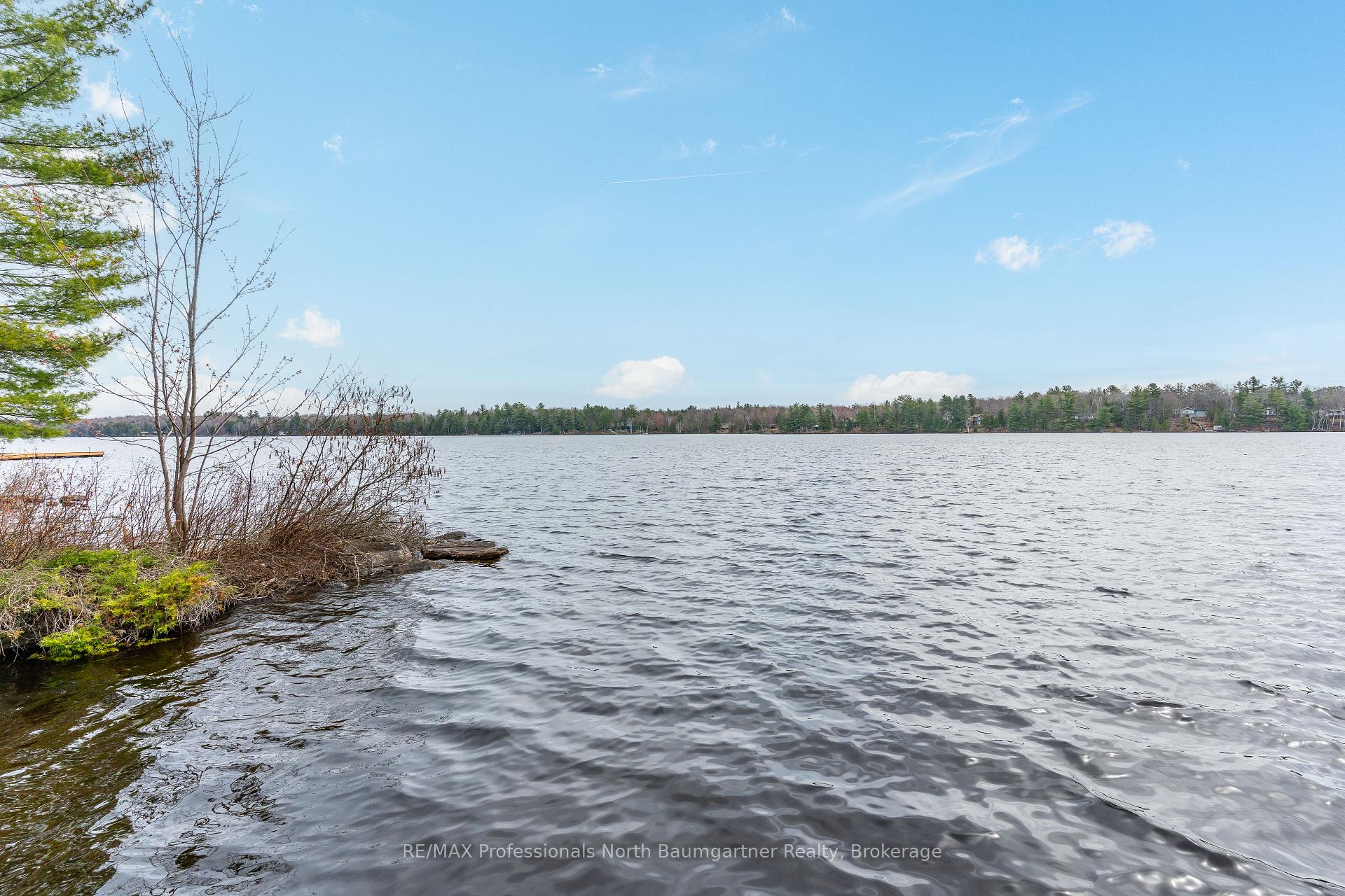 Photo 91 of 1175 Twin Rocks Lane, Algonquin Highlands — HOMEH