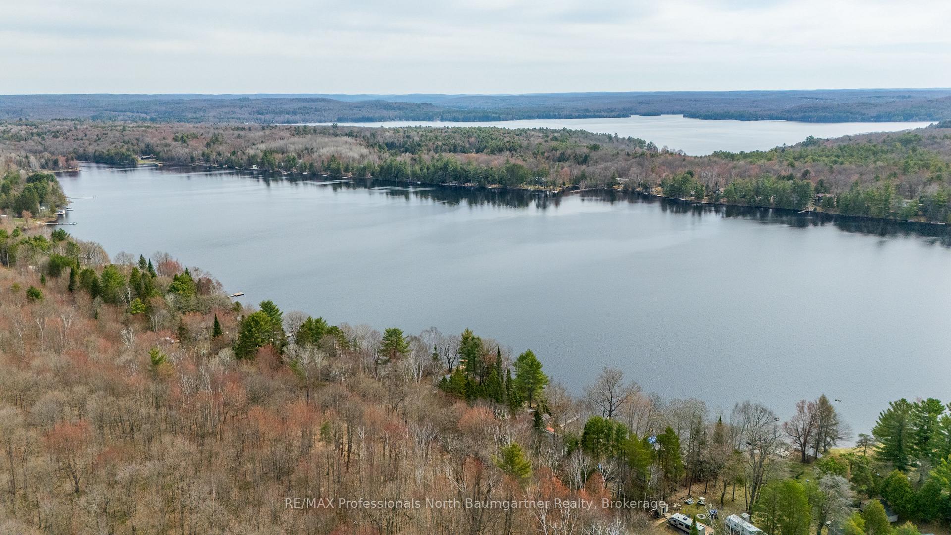 Photo 94 of 1175 Twin Rocks Lane, Algonquin Highlands — HOMEH