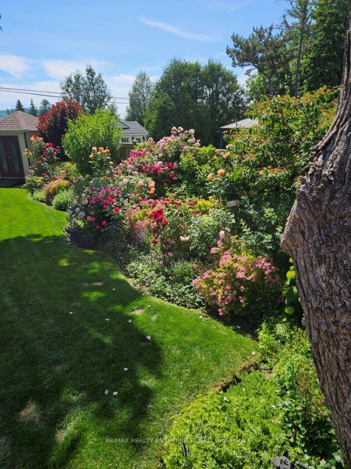 Photo 96 of 342 Martin Street, Milton, Milton North — HOMEH