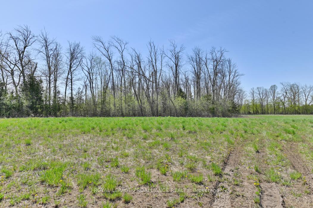 Photo 10 of 4330 Blessington Road, Tyendinaga — HOMEH