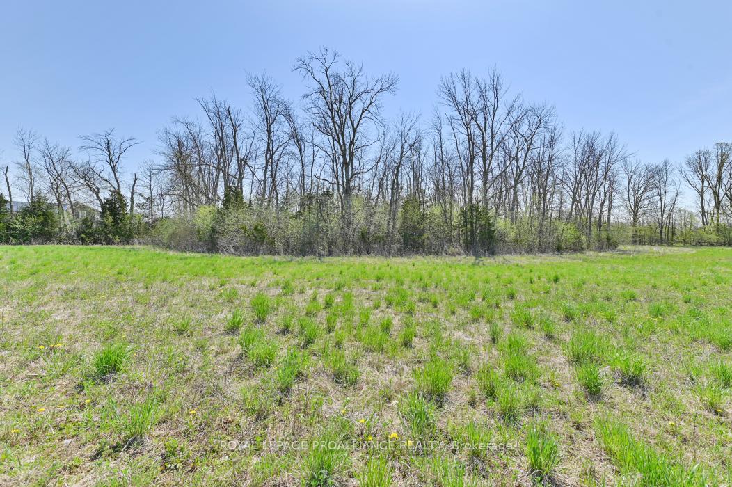 Photo 13 of 4330 Blessington Road, Tyendinaga — HOMEH