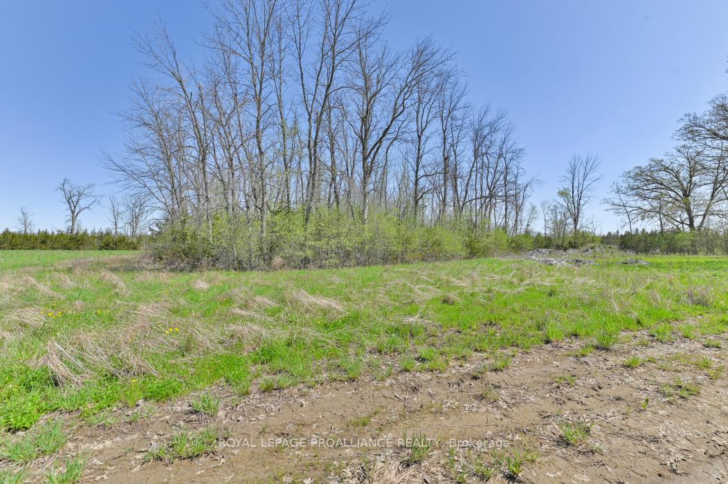 Photo 15 of 4330 Blessington Road, Tyendinaga — HOMEH