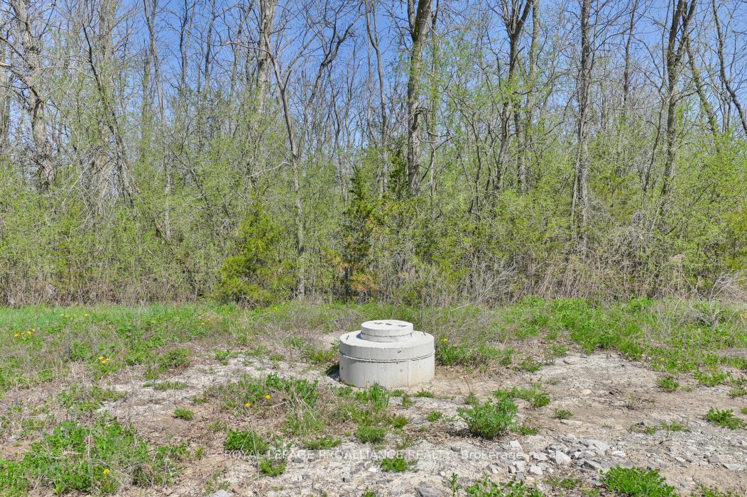 Photo 16 of 4330 Blessington Road, Tyendinaga — HOMEH