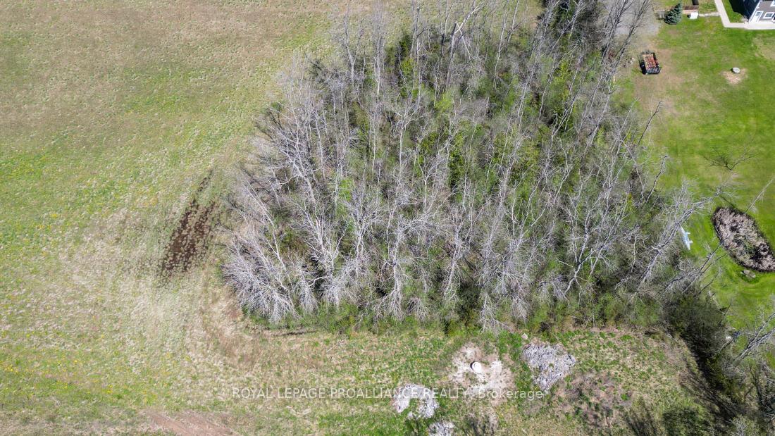 Photo 18 of 4330 Blessington Road, Tyendinaga — HOMEH